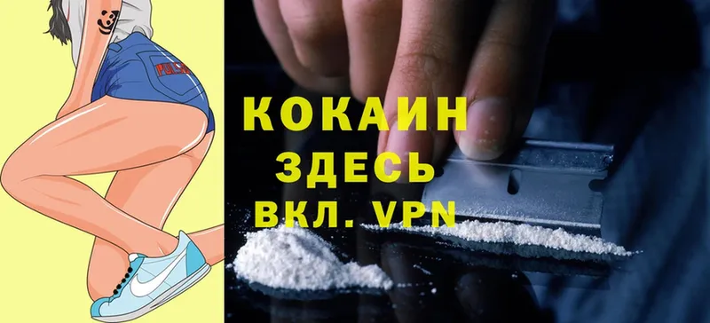 Cocaine Боливия Родники